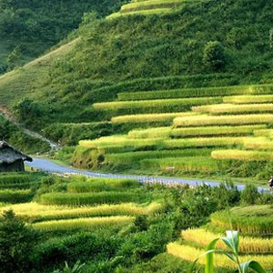 Chikmagalur homestay for family Chikmagalur homestay for family